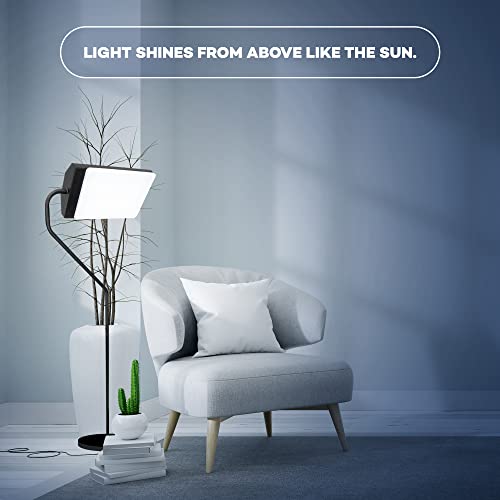 Northern Light Technologies Flamingo 10,000 Lux Bright Light Therapy