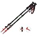Mountaintop Trekking Poles/Walking Sticks/Hiking Poles - 2 Pack