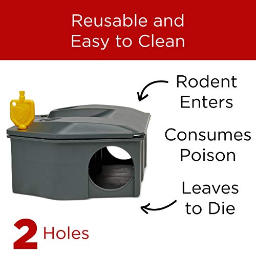 3 Station+Rodent+Eliminates+Fast+Children