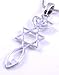 Messianic Seal Necklace Hebraic Roots Silver Grafted 19 Inch Chain Comes in A Lovely Gift Pouch
