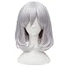 Flovex Short Fluffy Silver Grey Cosplay Wigs Natural Curly Womens Costume Halloween Party Daily Hair with Wig Cap