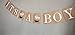 Woodland Creatures ITS A BOY Banner for Baby Shower + Fox, Raccoon, Rabbit, Bear, Squirrel and Porcupine/Animals Themed Decorations Fall Autumn Thanksgiving Banner Decoration