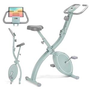 【Amazon.co.jp 限定】 アルインコ(Alinco) (ALINCO) フィットネスバイク エアロバイク AFBX4123AG グリーン