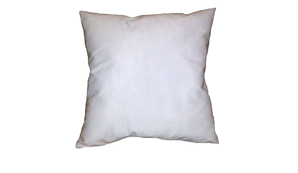 22x28 pillow insert