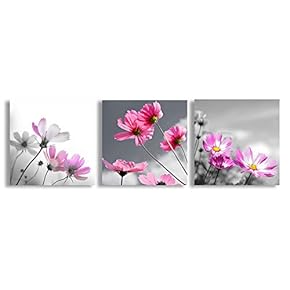 Canvas Wall Art Beautiful Flowers Collage...