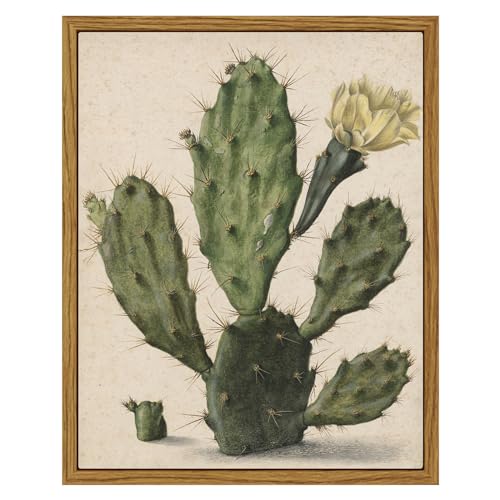 Photo 1 of ARPEOTCY Vintage Framed Cactus Wall Art, Botanical Floral Home Farmhouse Country Decor, Canvas Prints Art, Rustic Kitchen Still Life Paintings Retro Decor, 8x10 Inch