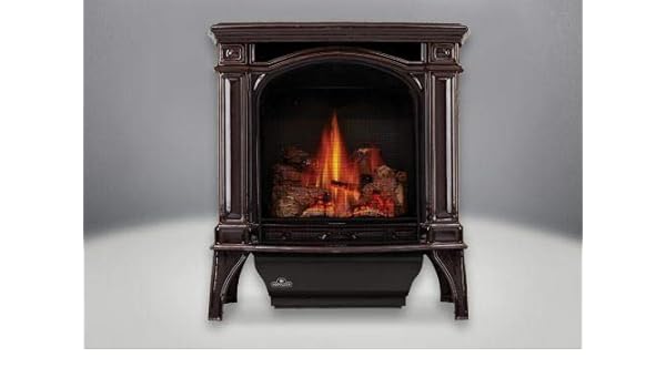 Amazon Com Napoleon Fireplaces Bayfield Direct Vent Cast Iron Ng