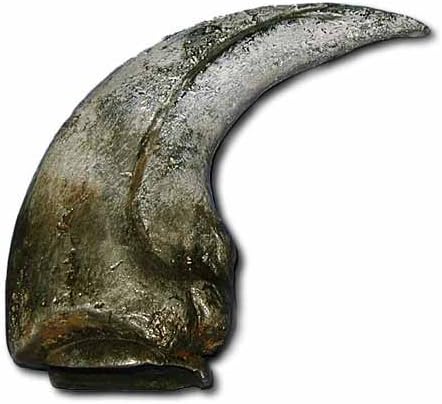 Prehistoric Planet Store - Baryonyx Claw