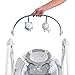 Ingenuity Power Adapt Portable Swing - Braden