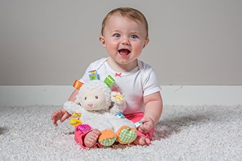 Taggies Sherbet Lamb Lovey Toy, 12 Inch (Pack of 1) in Oman