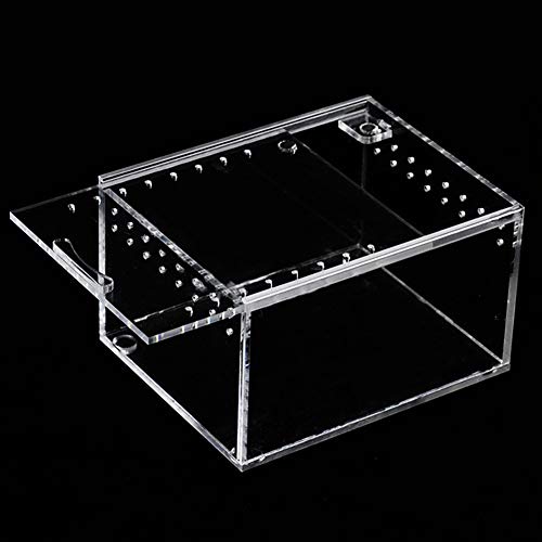 Biback Clear Reptile Breeding Box,Small Acrylic Terrarium Full View Visually with Sliding Design Feeding Box for Insect Reptiles Tarantulas Amphibians Lore Caterpillars Cricket Spider Snail Reptile - Thumbnail 3