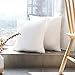 HIPPIH 18 x 18 Pillow Inserts Set of 2, Hypoallergenic Decorative Square Pillow Form Insert with Zips, White