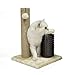 Amazon Basics Cat Scratcher - Indoor Classic Single Cat & Kittens Scratching Post with Brush, Small (16.5