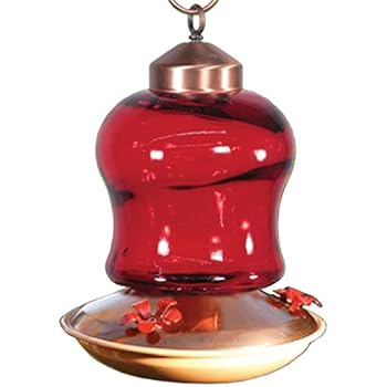 Amazon Com Audubon Red Glass Mini Lantern Hummingbird Feeder