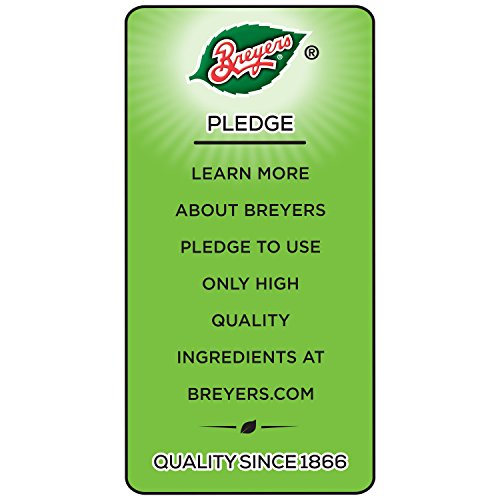 Breyers Non-Dairy, Vanilla Peanut Butter 48 oz