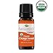 Plant Therapy Sweet Orange Organic Essential Oil 100% Pure, USDA Certified Organic, Undiluted, Natural Aromatherapy, Therapeutic Grade 10 mL (1/3 oz)