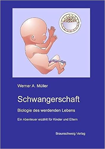 Schwangerschaft Biologie Des Werdenden Lebens Ein Abenteuer Fur