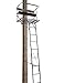 Big Dog Hunting Red Tick II Two Person Ladder Treestand with Padded Flip Up Shooting Rail, 17', Grey