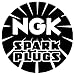 NGK CR9EIA-9 Spark Plugs #6289 (4 Pack)