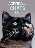 Agenda des chats by 