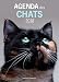 Agenda des chats by 