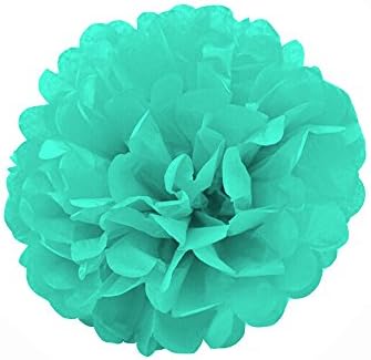 Vivi.S 20'' Tissue Paper Pom Pom Wedding Birthday Decoration Party Supplies