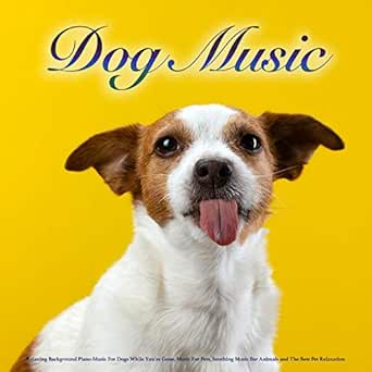 Classical Music Dog Music For Dogs What Kind Of Music Calms Dogs
