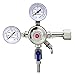 Kegco BF SCK-5T Standard Door Mount Kegerator Keg Tap Beer Conversion Kit with 5 lb Co2 Tank, Chrome