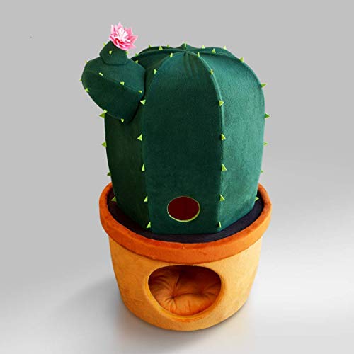 cactus cat bed