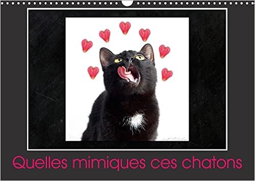 Quelles Mimiques Ces Chatons 18 Un Calendrier Plein D Humour Calvendo Animaux French Edition Amazon Com Books
