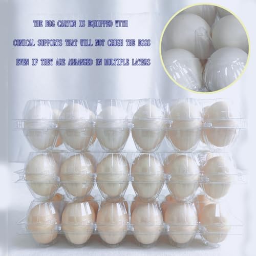 LSGENGXCY 100 piece Disposable Transparent Egg Cartons, 12 Plastic Egg Storage Containers, 2 Rows And 6 Columns of Empty Egg Cartons.2 * 6 (ZF-DH-2 * 6-100-1)