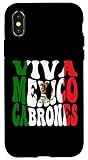iPhone X/XS Mexican Flag Viva Mexico Pride