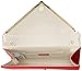 Aldo Varina Envelope Clutch