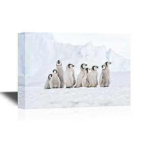 Canvas Wall Art - A Group of Penguins - Gallery Wrap Modern Home Art | Ready to Hang - 12x18 inches