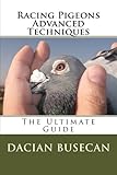 Racing Pigeons Advanced Techniques: The Ultimate Guide by 