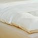 Pacific Coast Feather Company 4803 100% Cotton Feather Bed Protector, Queen