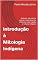 Livro Introdução à Mitologia Indígena: Definição, importância cultural e visão geral dos diferentes mitos, regiões e culturas indígenas