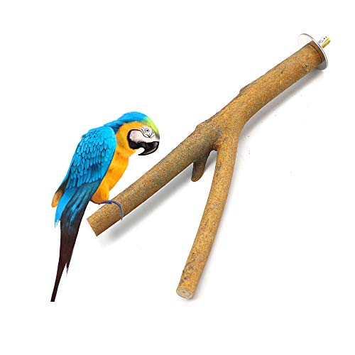 GNB PET 2 Pack Bird Perch Parrot Natural Wood Fork Stand Perch (7.87 Inches), Birdcage Stands Platform Pet Bird Toys with Stainless Steel Washers - Thumbnail 5