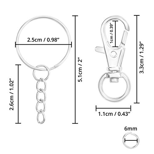 Belle Vous Schlüsselringe Metall mit Karabinerhaken, Schlüsselkarabiner Drehbar Schlüssel Ring Rohlinge mit Spaltringen… – Bild 3