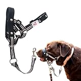 ALPHA BOY Dog Training HeadCollar – Comfortable