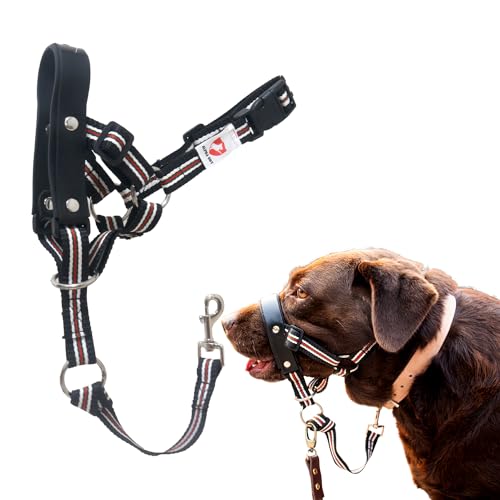 ALPHA BOY Dog Training HeadCollar – Comfortable