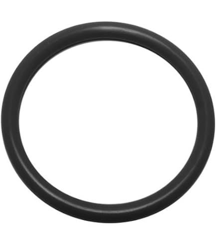 Number_i ナンバーアイ　GOAT、No.O-ring-、No.1 Number I Goat Normal Disk No.O -Ring- First-Time Production