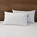 downluxe Pillow Inserts,Set of 2