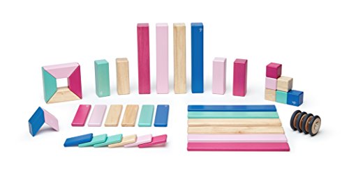 42 Piece Tegu Magnetic Wooden Block Set, Blossom