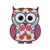 50 PCS Owl Design Pushpins Drawing Pin For Shcool or Office