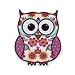 50 PCS Owl Design Pushpins Drawing Pin For Shcool or Office