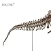 ESALINK T-Rex Replica Skeleton Model Assembly Saft PVC Non-Toxic and Eco-Friendly 3D Puzzles Dinosaur Simulation Edu-Toys