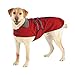Casual Canine Fleece-Lined Reflective Dog Jacket for Safety, Red, Medium