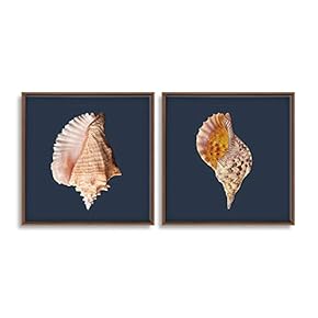 2 Piece Framed Canvas Wall Art for Living Room, Bedroom Conch Theme Canvas Prints for Home Decoration Ready to Hang - 16"x16"x2 Panels