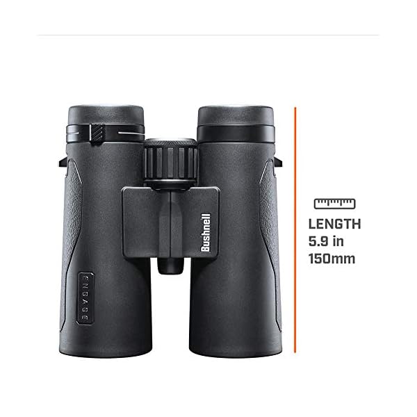 Bushnell Fernglas Engage DX 10x42 - Profi Fernglas, brilliante Bildqualität, detailreich, robust, mehrfach beschichtete Linsen, BENDX1042 – Bild 6